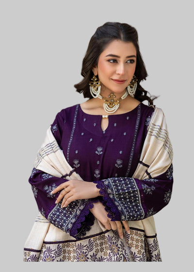 Woman in traditional outfit with purple and white design, standing indoors.