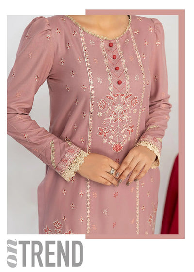 Woman wearing a pink embroidered outfit with a close-up of the garment on a white background.