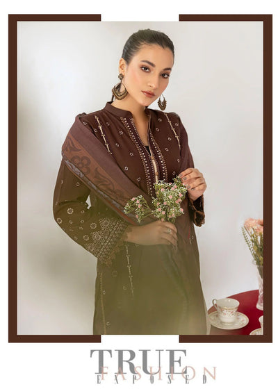 Woman in a brown traditional outfit with a matching dupatta, posing in front of a table with a red tablecloth.