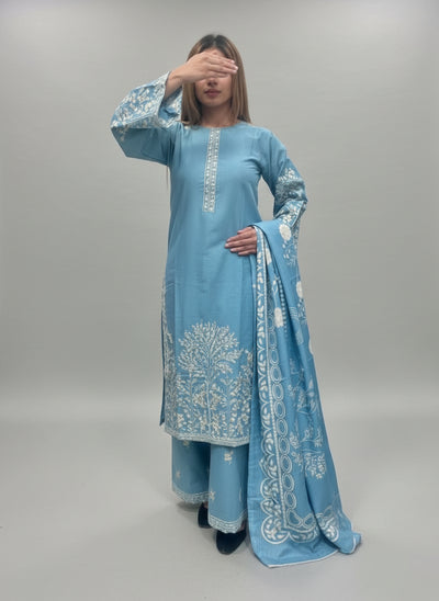 A Women wearing a light blue traditional outfit with white patterns in a green room.